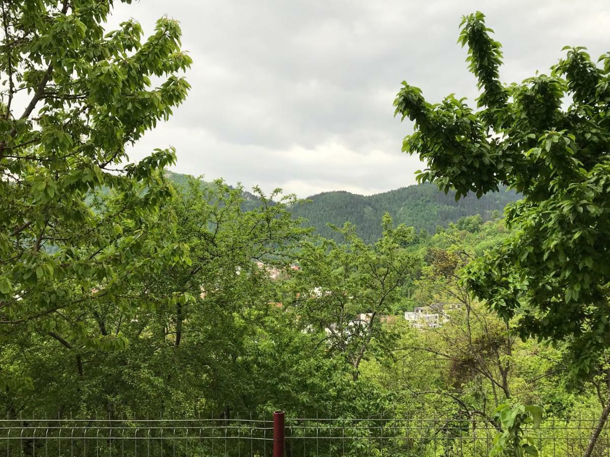 Calea Poienii Penthouse Daire Braşov Dış mekan fotoğraf